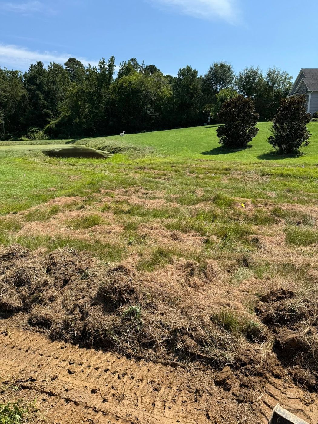 Before: wet, torn-up backyard with drainage flags
