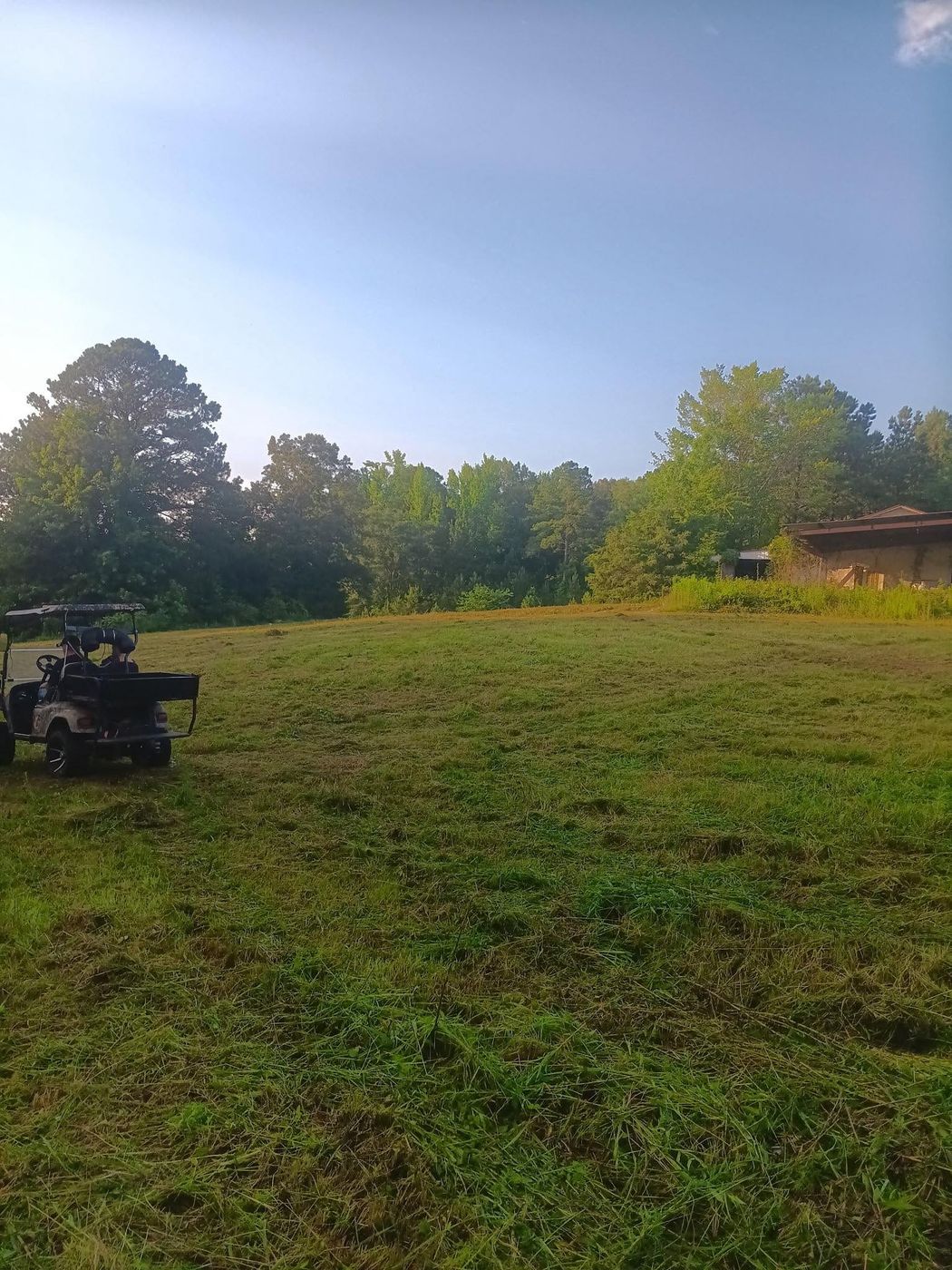Freshly bush hogged field at golden hour