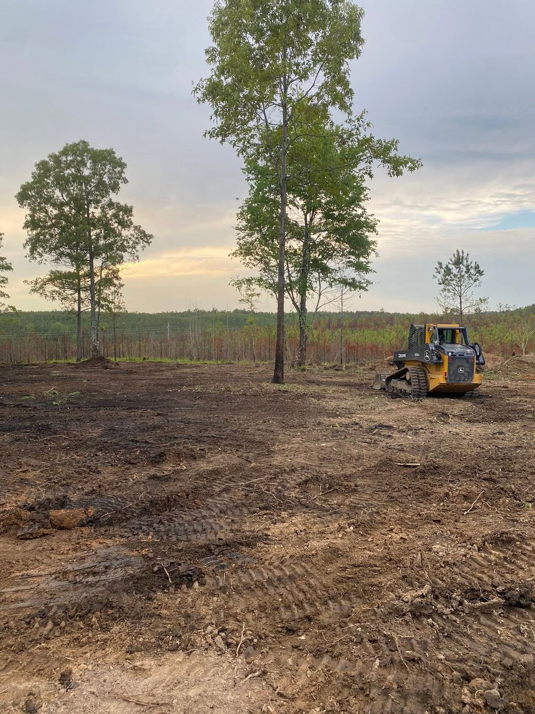 After: trees cleared and the ground worked flat