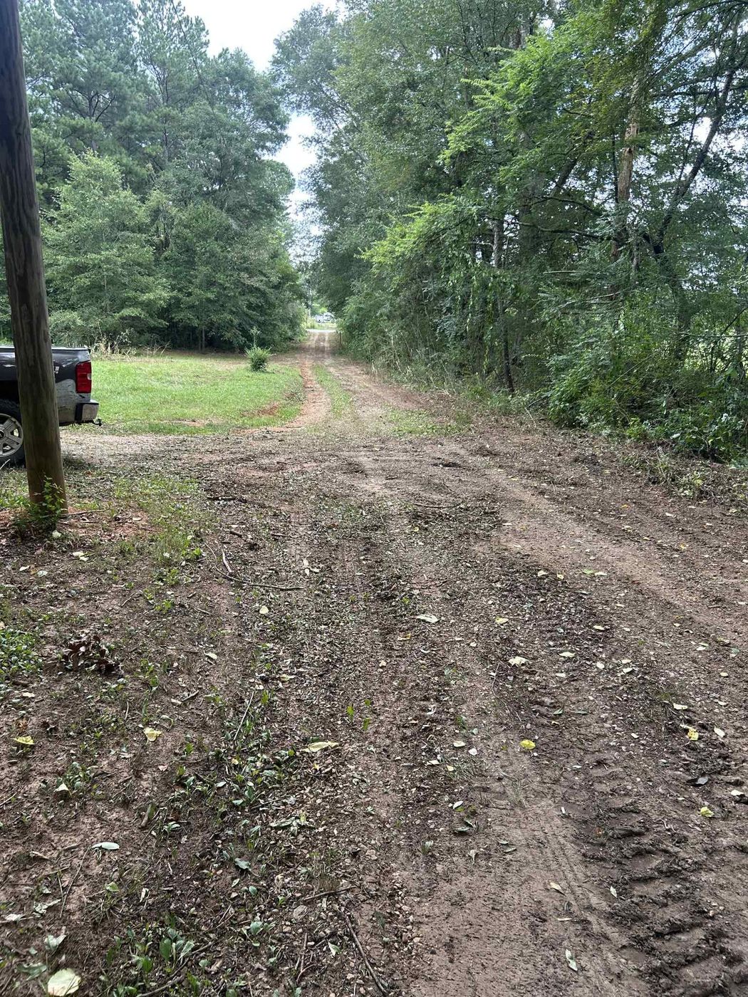 After: the driveway opened wide, cleared to the road