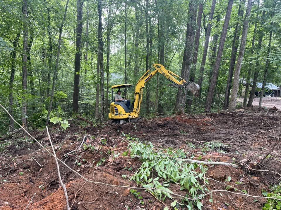 Mini excavator clearing underbrush between tall pines