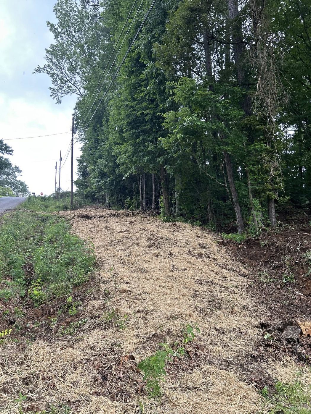 Graded roadside slope finished with straw