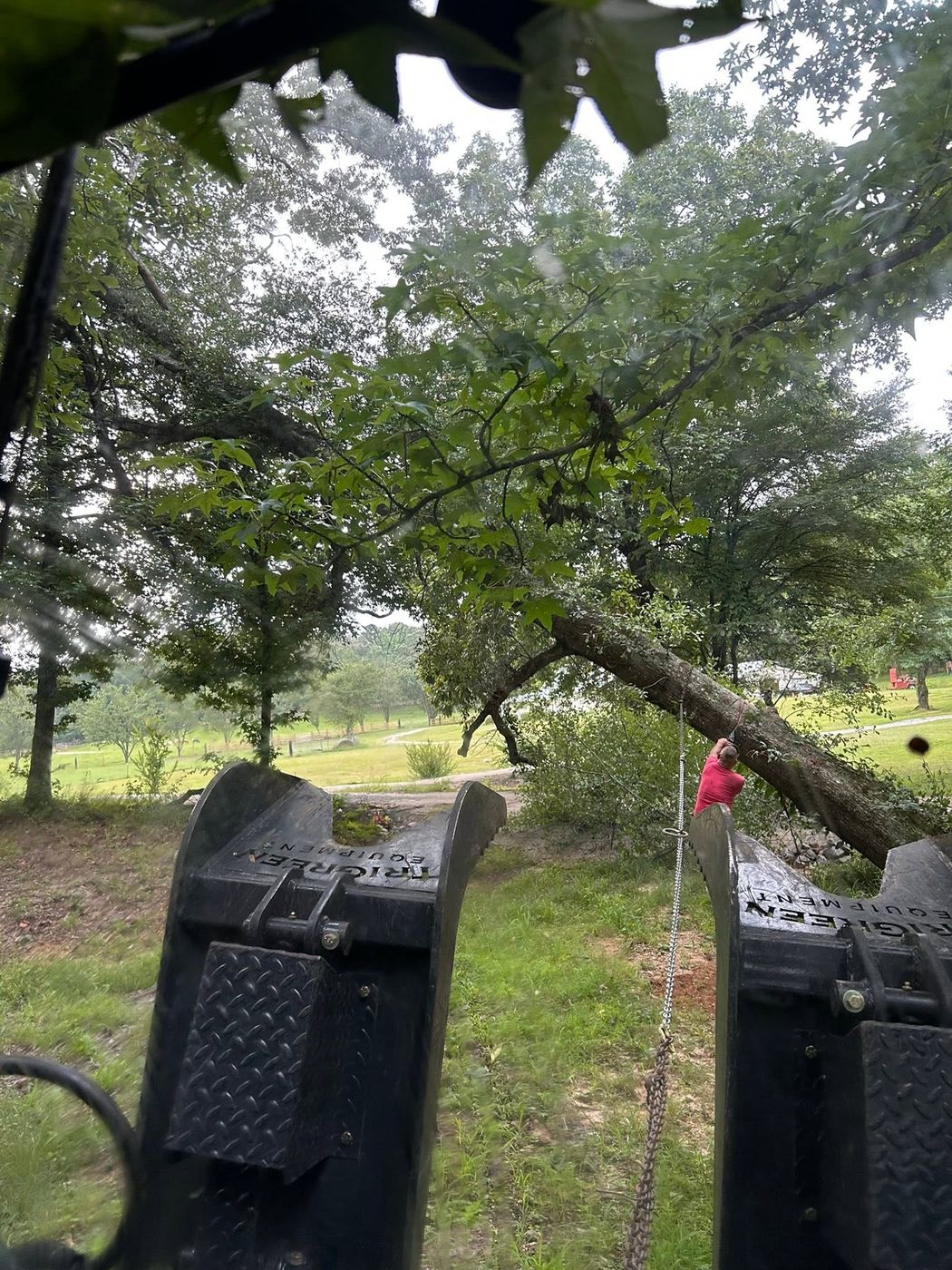 Grapple forks lined up on a dangerous leaning tree